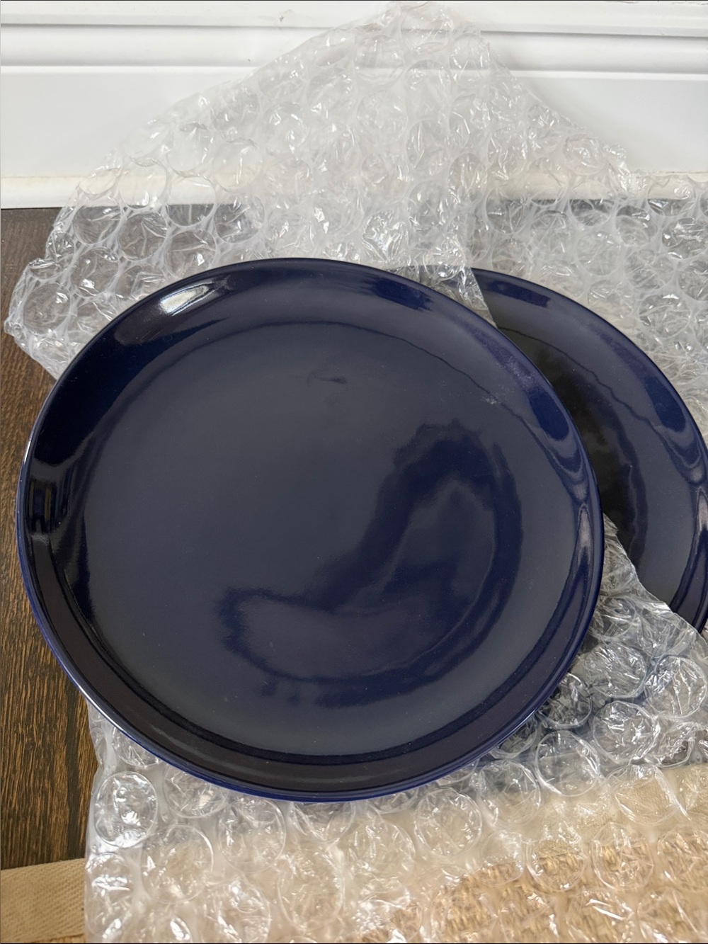 2 Pacifica Dinner Plates by Williams Sonoma in Navy
